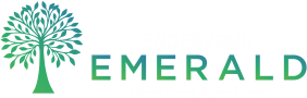 Qempo